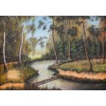 J Fraserzsriska? - Woodland stream, oil on canvas, signed, 49 x 69 cm