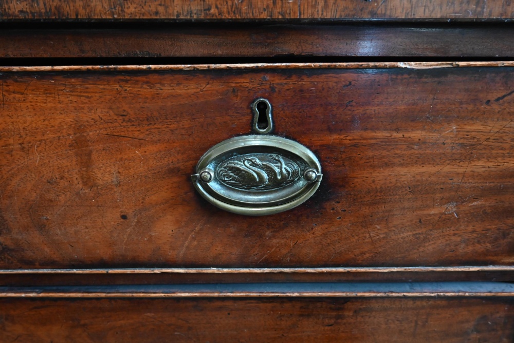 A George III mahogany chest of two short over three long drawers with brass oval handles cast with - Image 2 of 9