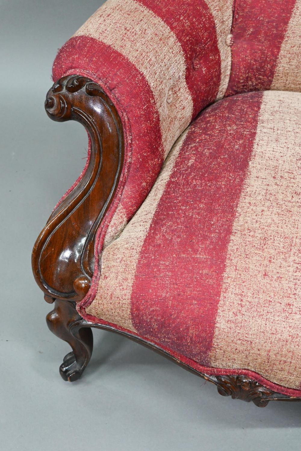 A late Victorian rosewood show framed salon chair, with later button upholstered covers, the front - Image 5 of 6