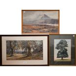 Three watercolours - Adrian Hill, oak tree, 30.5 x 23 cm; Scottish mountain landscape, 30.5 x 49.5