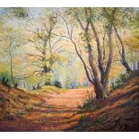 Mervyn Goode - 'Autumn's Gold, Noar Hill', oil on canvas, signed, 44.5 x 49 cm