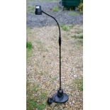 An Ask Serious Reader's floor lamp