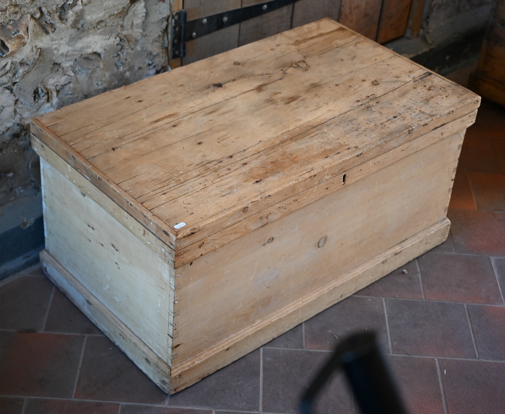 An old pine trunk, 94 cm w x 52 cm d x 44 cm h