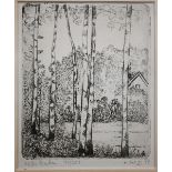 A Goezu (b 1939) - Silver birches, limited edition etching numbered 74/350, signed and dated '67,