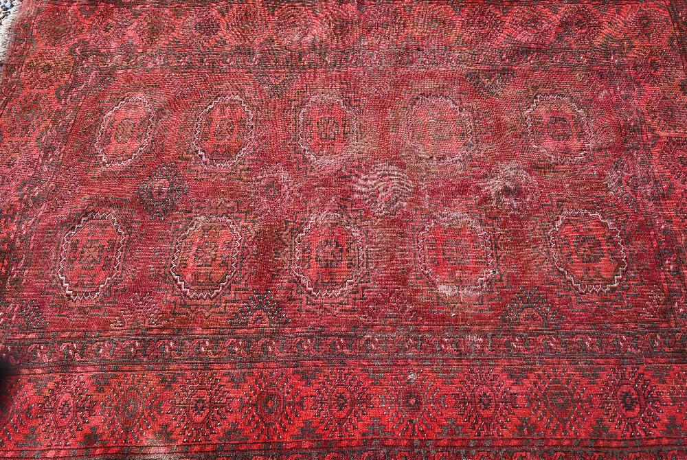 An Afghan gul design rug on red ground, 284 x 157 cm - Image 2 of 3