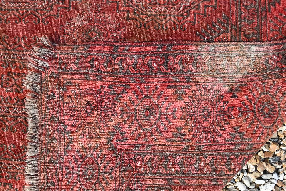 An Afghan gul design rug on red ground, 284 x 157 cm - Image 3 of 3