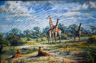 Mark Hankinson - Giraffes and lionesses in a clearing, oil on canvas, signed, 60 x 90 cm