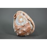 An Italian Victorian conch shell, finely carved with a female classical profile bust, 13 cm high