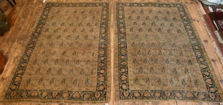 A pair of decorative antique Persian rugs, the repeat design of boteh on brown-red ground within