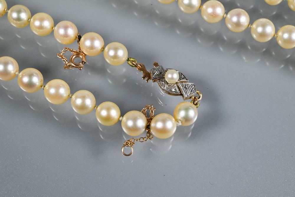 A single row of uniform cultured pearls, knotted throughout onto pearl and marcasite clasp, yellow - Image 2 of 4