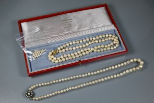 A single row of uniform cultured pearls knotted throughout onto yellow metal bead clasp stamped