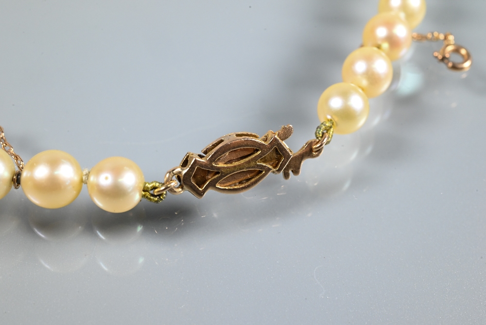 A single row of uniform cultured pearls, knotted throughout onto pearl and marcasite clasp, yellow - Image 3 of 4