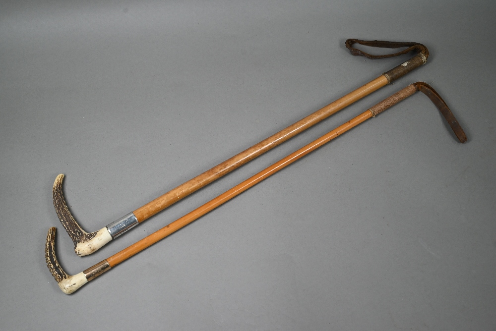 Two malacca riding crops with antler handles, one with 9ct gold band, Julius Klinkhardt, London