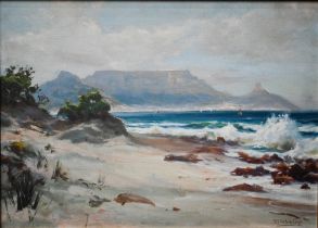 Borge Fog Stuckenberg (1867-1942) - View of Cape Town, oil on canvas, signed, 44 x 62 cm