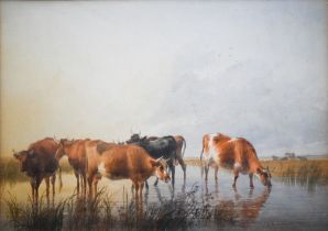 T S Cooper (1803-1902) - Cattle drinking from a river, watercolour, signed and indistinctly