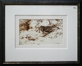Terence Lambert (b 1951) - Woodcock, mixed media, signed, 17 x 28 cm