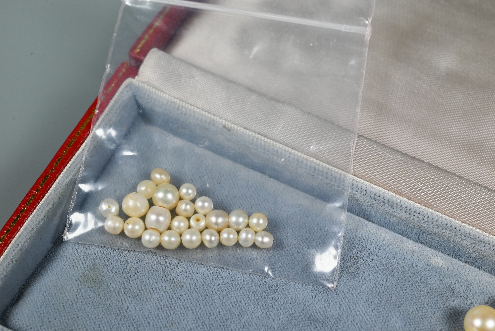 A single row of uniform cultured pearls knotted throughout onto yellow metal bead clasp stamped - Image 4 of 4