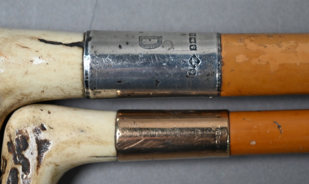 Two malacca riding crops with antler handles, one with 9ct gold band, Julius Klinkhardt, London - Image 4 of 4