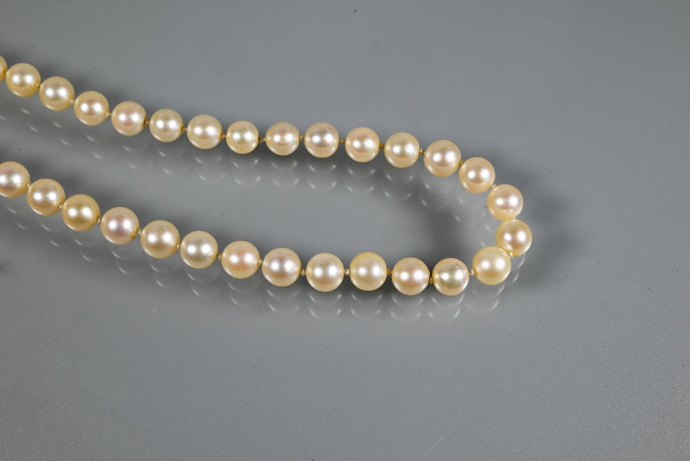 A single row of uniform cultured pearls, knotted throughout onto pearl and marcasite clasp, yellow - Image 4 of 4