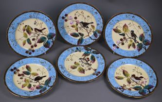 A set of six 19th century Continental china cabinet plates, painted and gilded with hedge sparrows