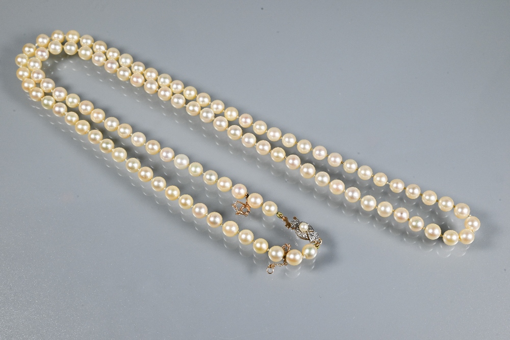 A single row of uniform cultured pearls, knotted throughout onto pearl and marcasite clasp, yellow