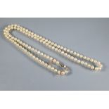 A single row of uniform cultured pearls, knotted throughout onto pearl and marcasite clasp, yellow