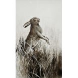 Terence Lambert (1951) - Hare, mixed media, signed, 36.5 x 21 cm