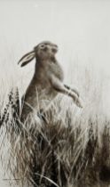 Terence Lambert (1951) - Hare, mixed media, signed, 36.5 x 21 cm