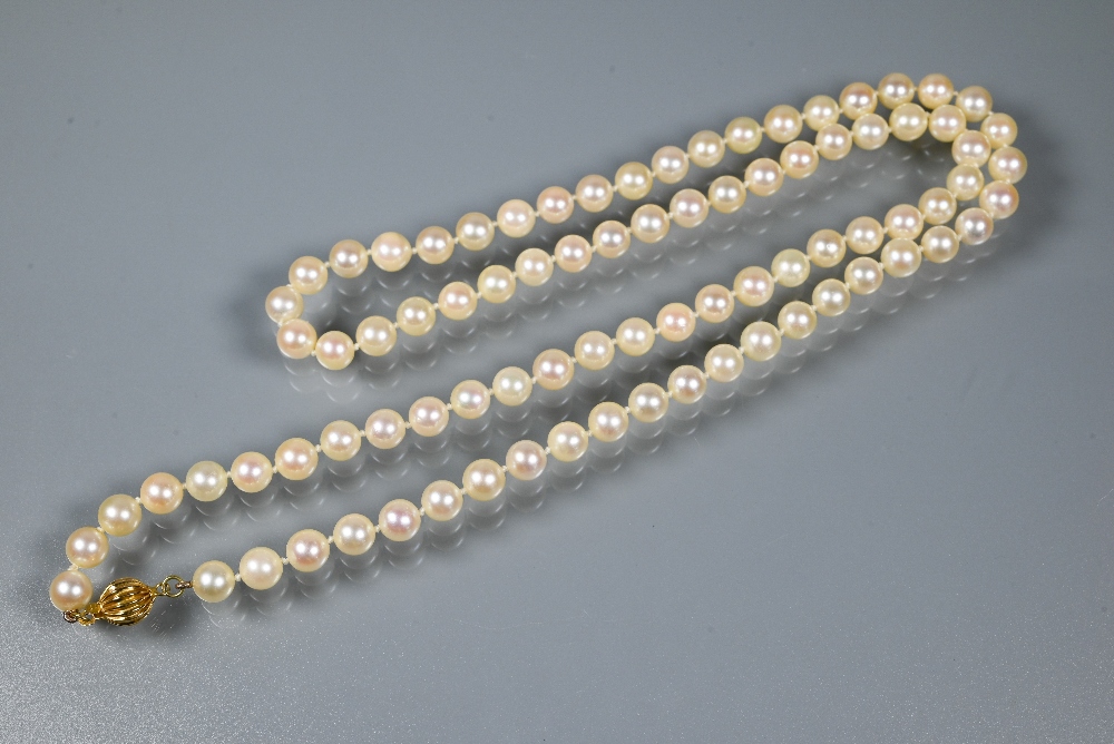 A single row of uniform cultured pearls knotted throughout onto yellow metal bead clasp stamped - Image 3 of 4