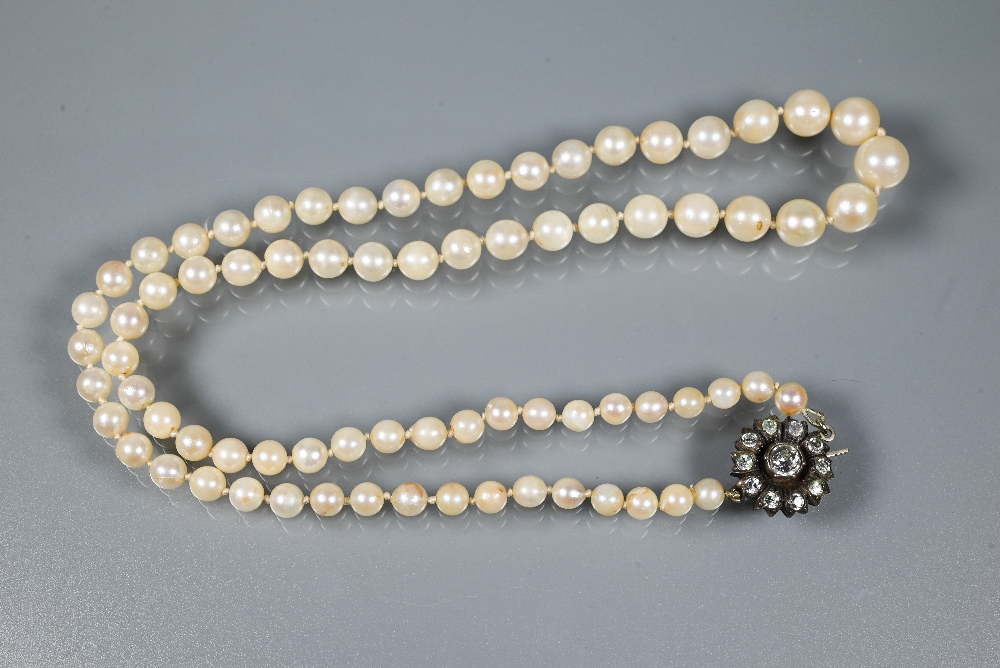 A single row of uniform cultured pearls knotted throughout onto yellow metal bead clasp stamped - Image 2 of 4