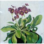 Liz West - Auricula, oil on board, signed, 29 x 29 cm to/w study of scallop shell, feather and