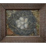 Elizabeth Macfarlane - Bird's nest, oil on canvas, signed with monogrammed initials, 38.5 x 49 cm,