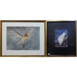 Ferelith Molteno - Barn owl hunting, watercolour, 20 x 14 cm and Kate Wyatt - print 'Ostrid' (2)