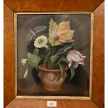 Elizabeth Macfarlane - 'Parrot tulips, Convolvulus and Moth', watercolour, signed, titled and
