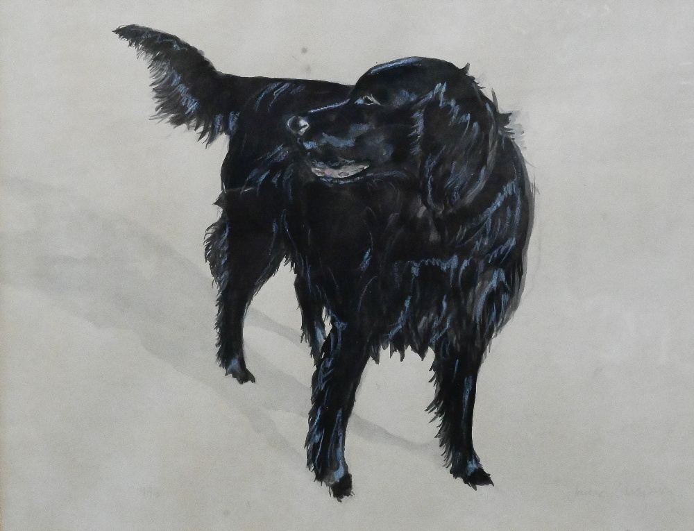 Jayne Chapman - watercolour study of a black flatcoated retriever, signed, 39 x 24 cm to/w Ingrid - Image 6 of 7