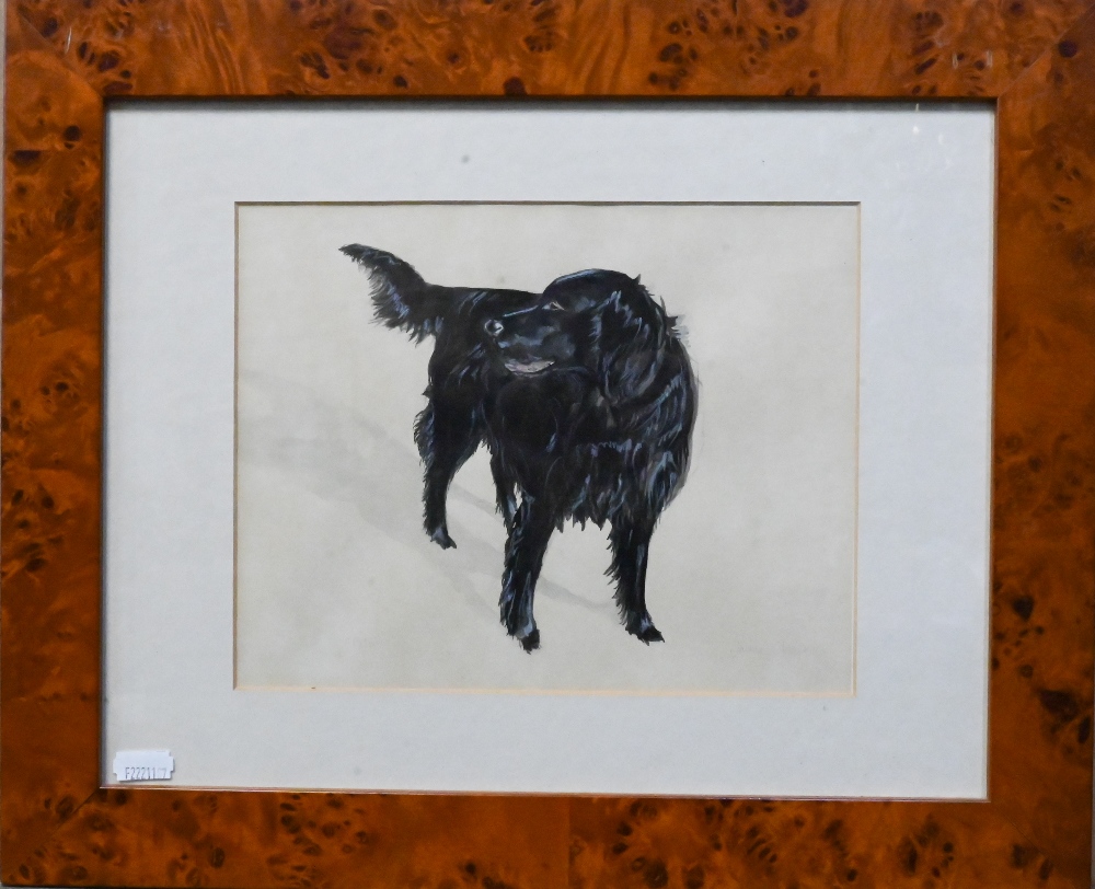 Jayne Chapman - watercolour study of a black flatcoated retriever, signed, 39 x 24 cm to/w Ingrid - Image 7 of 7
