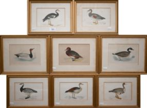 Two sets of 'goose' engravings (5 and 3), 11.5 x 17 cm the smallest (8)