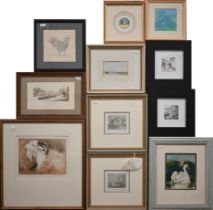 Mixed pictures including Anne Shingleton 'Sheep-Goat chimaera', etching; Shelagh Popham etching of a