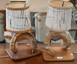 Two ram's horn table-lamps (2)