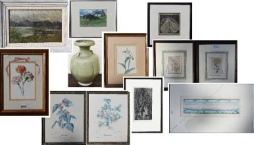 Mixed lots of pictures including Valerie Thornton print, pastel landscape, botanical prints, oil