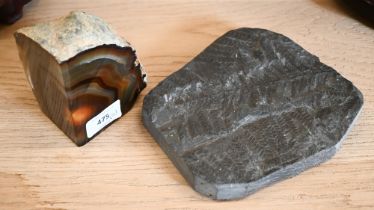 A fossil fern slab 18 x 16 cm overall, to/w a segment of agate with polished inner surfaces (2)