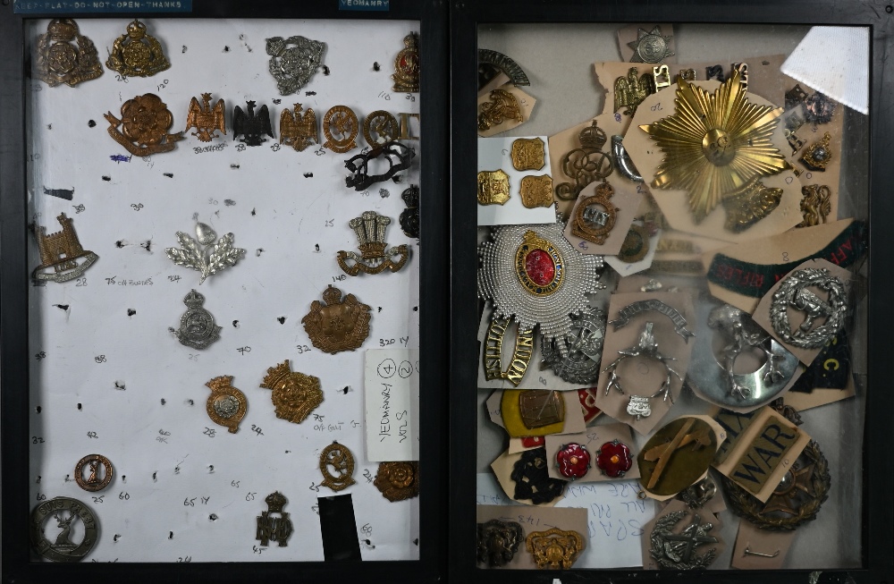 Five perspex display cases containing a collection of mostly British military cap badges, shoulder - Image 2 of 4