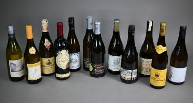 Twelve bottles of white wine- two bottles Domaine Thierry Brown, Macon-Bussieres, France, 2013;