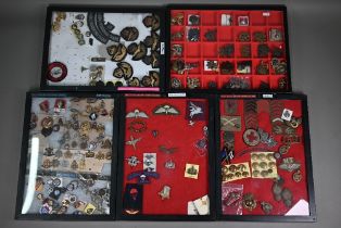 Five perspex display cases of approx 250 British military cap badges and insignia including RAF