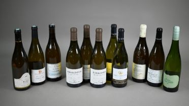 Eleven bottles of white wine; three bottles of Clos-Du-Chateau De Puligny Montrachet, White