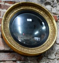 An antique gilt and gesso convex mirror, 36 cm dia.