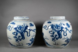 A pair of 19th century Chinese blue and white ginger jars with cover painted in underglaze blue with