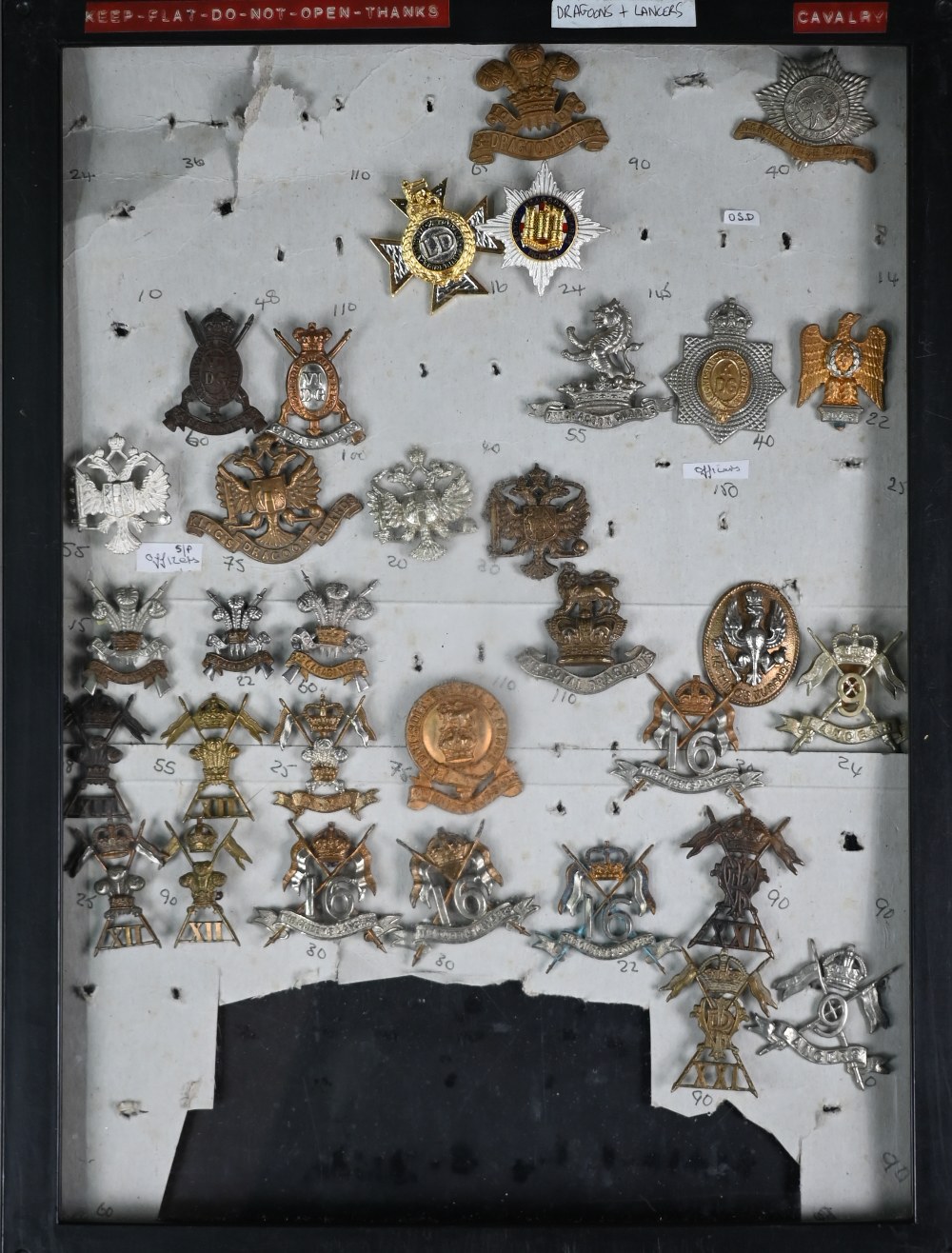 Five perspex display cases containing a collection of mostly British military cap badges, shoulder - Image 4 of 4