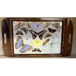 A Rio de Janeiro butterfly twin handled tray,