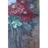 A Williams Still life study of chrysanthemums Watercolour Signed 51 x 32.